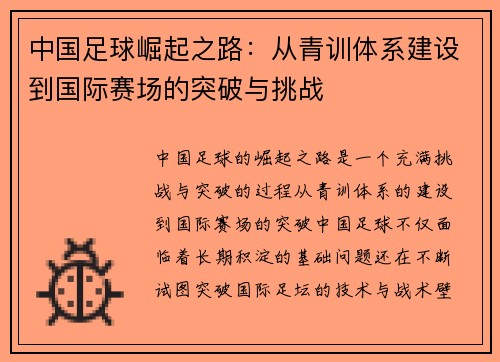 中国足球崛起之路：从青训体系建设到国际赛场的突破与挑战
